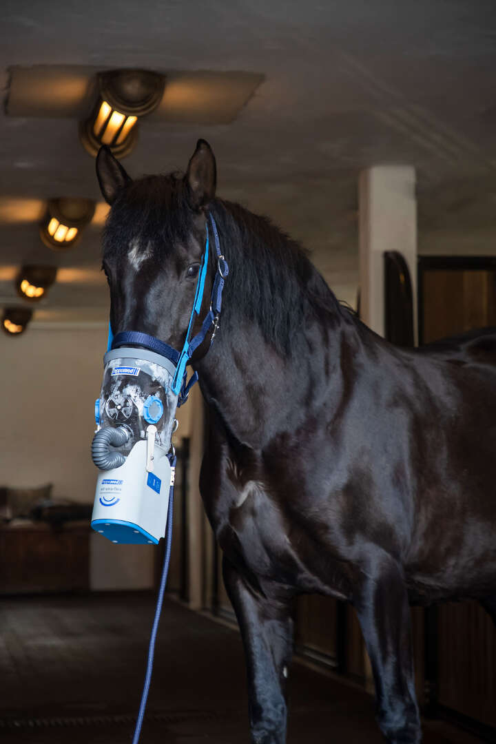 hippomed Akku-Ultraschall-Inhalator für Pferde AirOne Flex